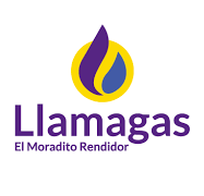 LogoLlamagas